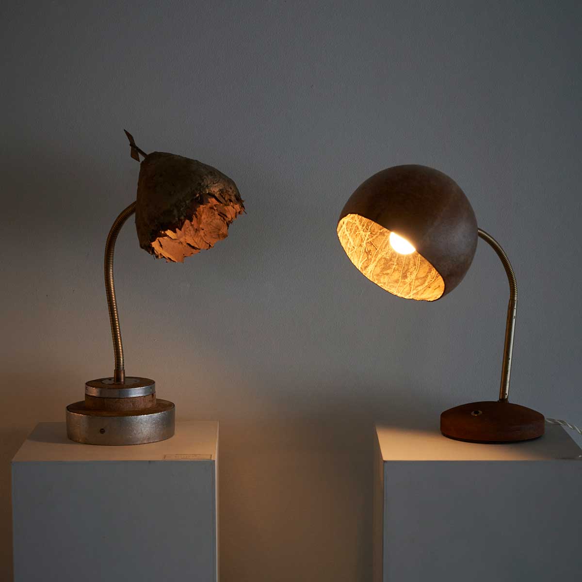 はいいろオオカミ+花屋西別府商店森の小さな灯