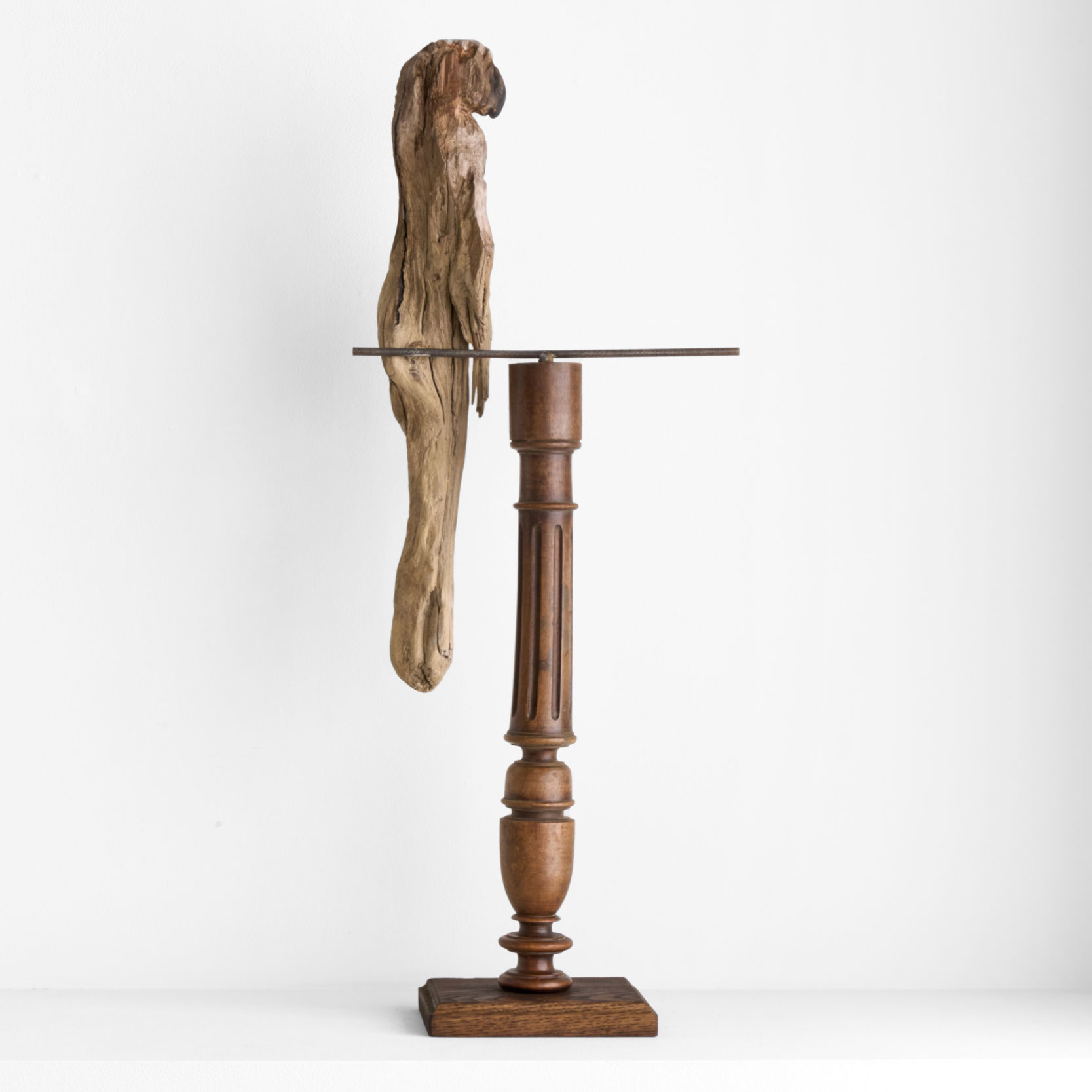 mizuta_MN29-1 水田典寿