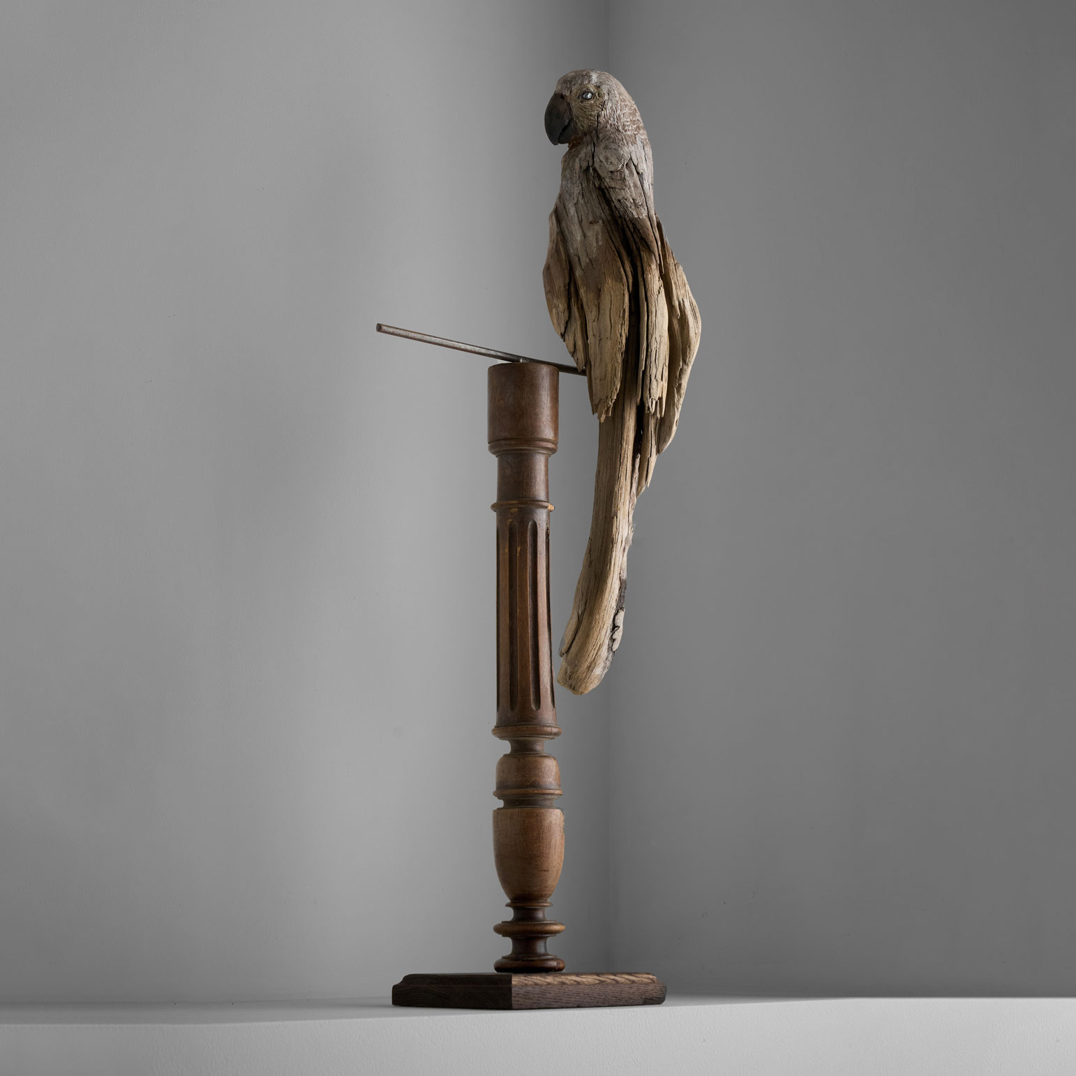 mizuta_MN29-5 水田典寿