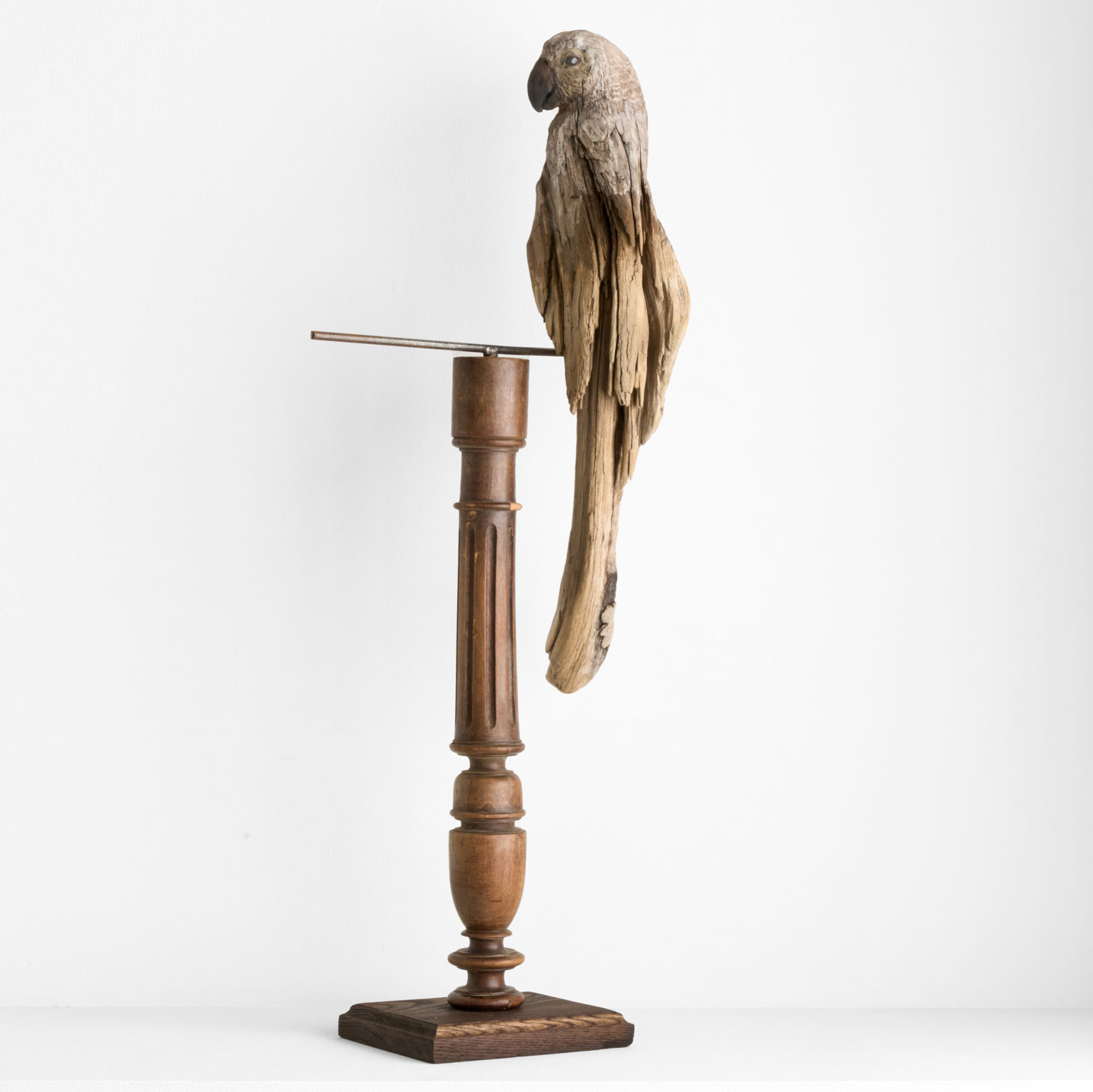 mizuta_MN29 水田典寿