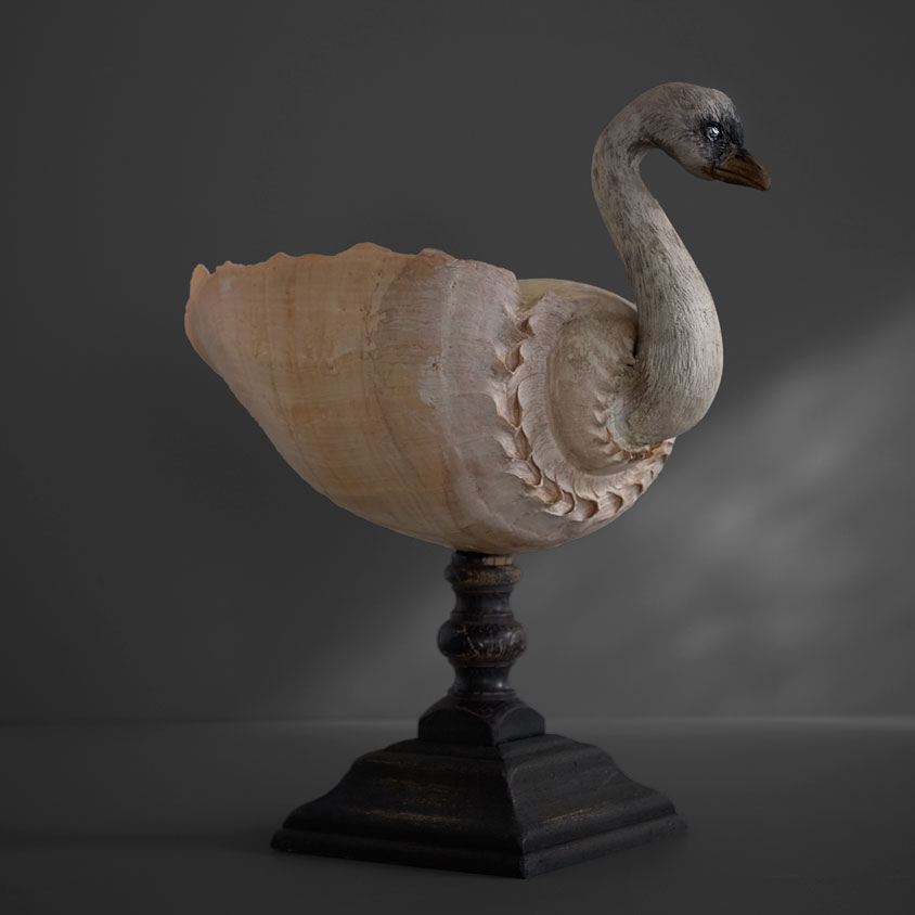 mizuta_MN_22_5 水田典寿