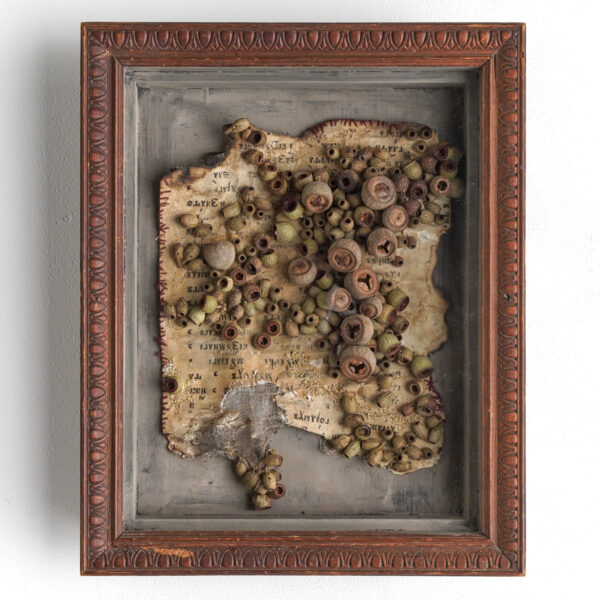 花屋西別府商店