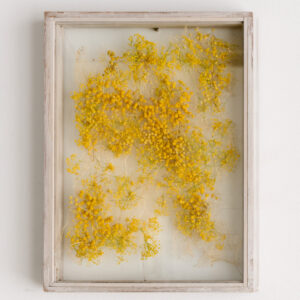 花屋西別府商店