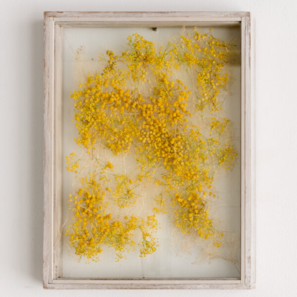 花屋西別府商店