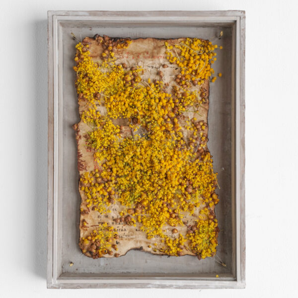 花屋西別府商店