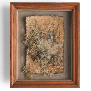 花屋西別府商店