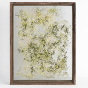 花屋西別府商店