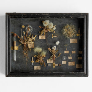 花屋西別府商店