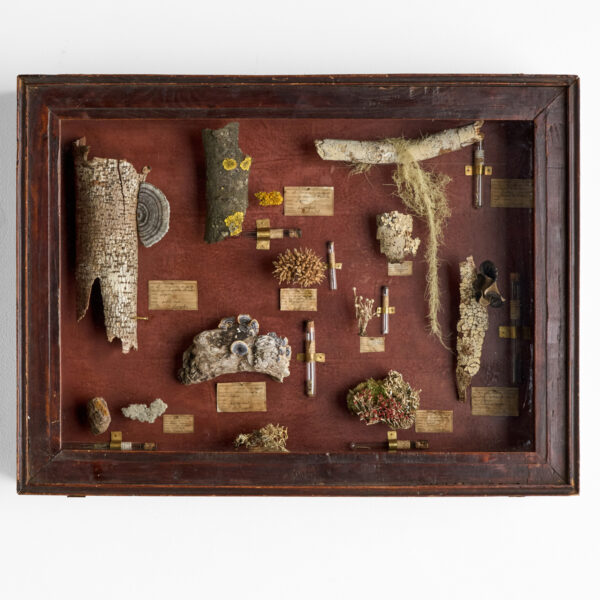 花屋西別府商店