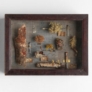 花屋西別府商店