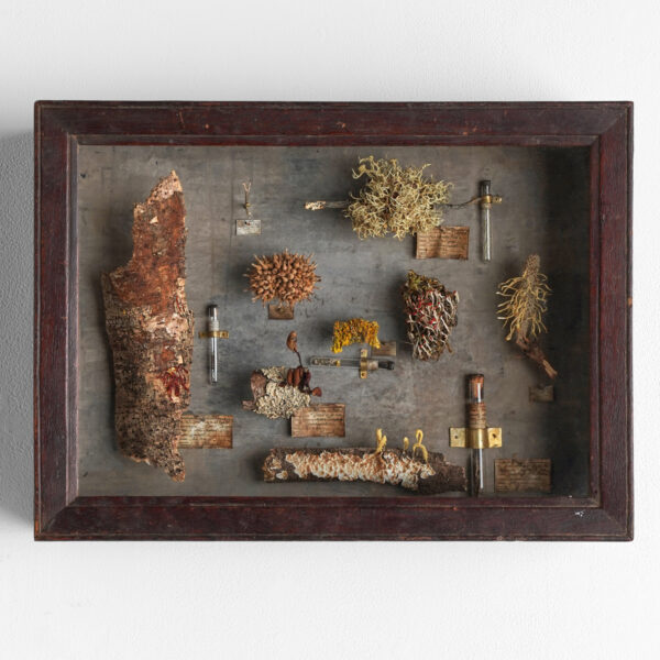 花屋西別府商店