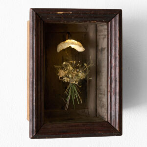 はいいろオオカミ＋花屋西別府商店