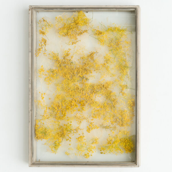 花屋西別府商店