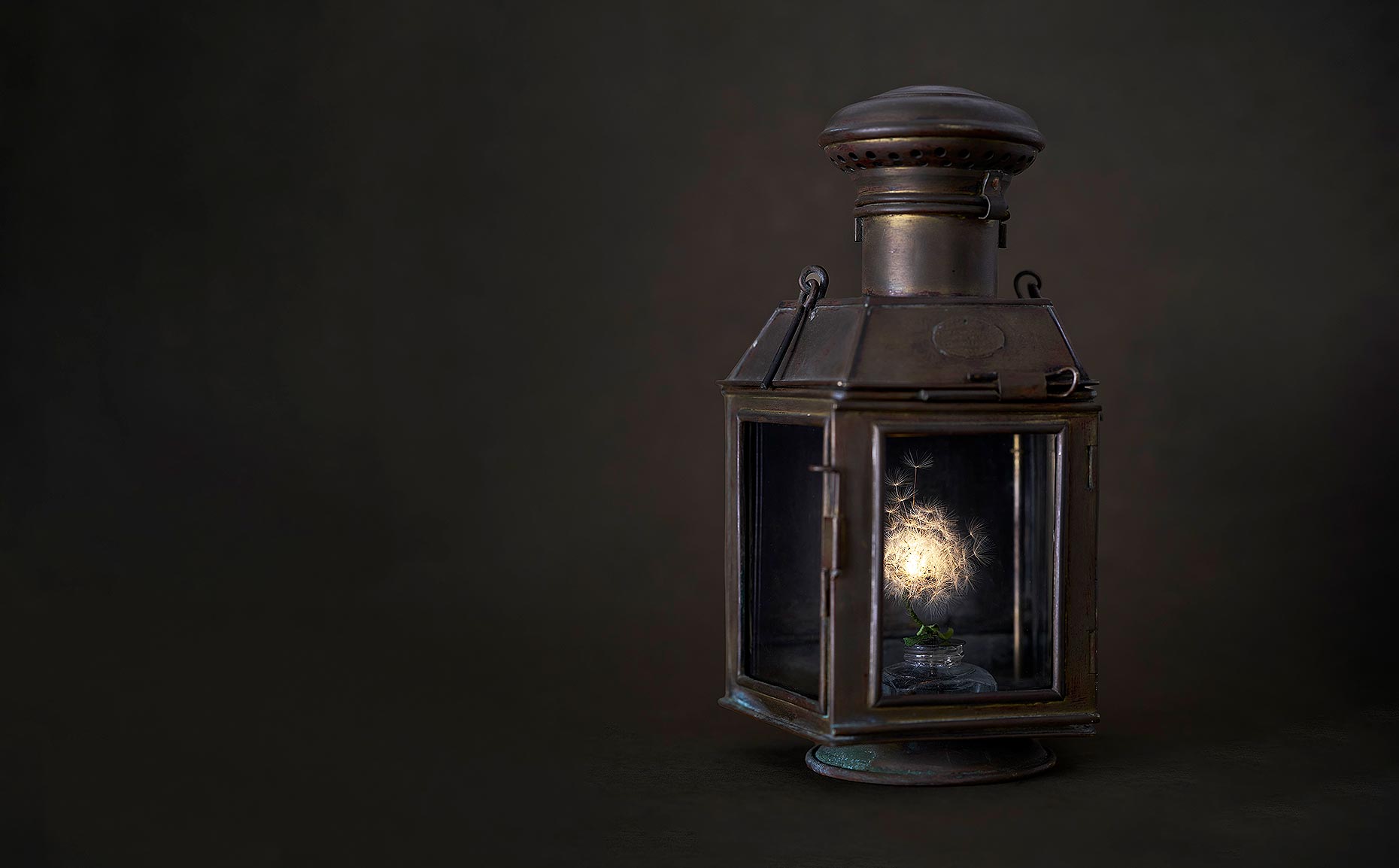 はいいろオオカミ＋花屋西別府商店